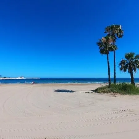 Espagne Flora Torrevieja