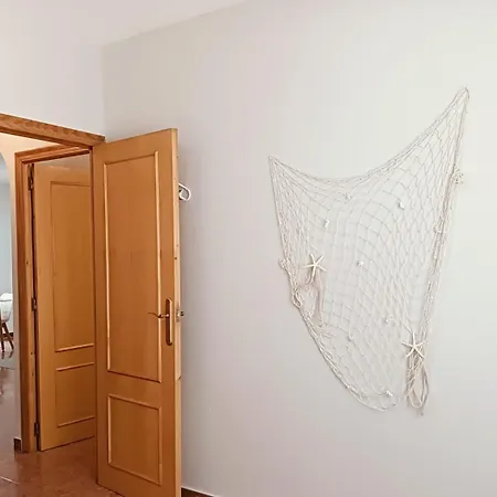 Espagne Flora Torrevieja