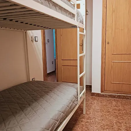 Espagne Flora * Torrevieja